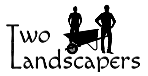 Logo design presentation