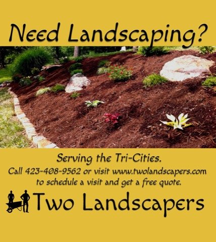 Two Landscapers Need Landscaping promotional flyer